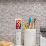 Adult-Brush-Black-Transpranent