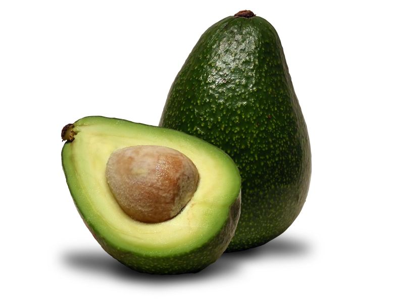 avocado-31_orig