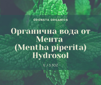 Органичен хидролат от мента - Peppermint (Mentha piperita) -1Л.