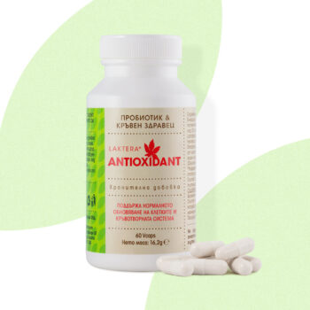 Пробиотик капсули Laktera Antioxidant