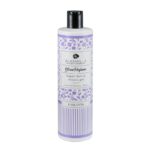 Bagnodoccia-Violette-Alkemilla (1)