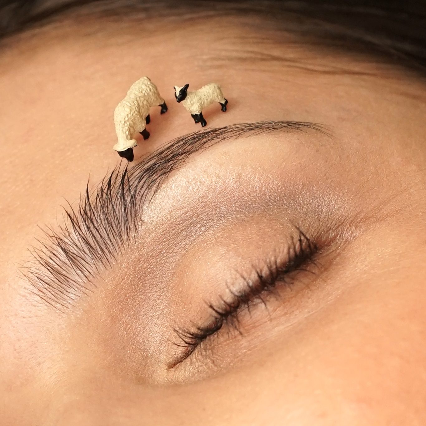 KELLY SOURCILS MOUTON CARRE-2